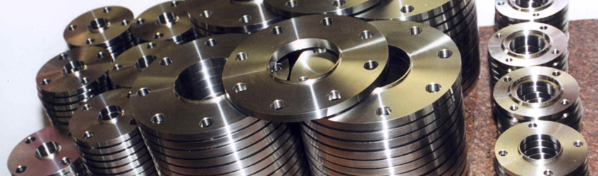 Stainless Steel 317 Flanges